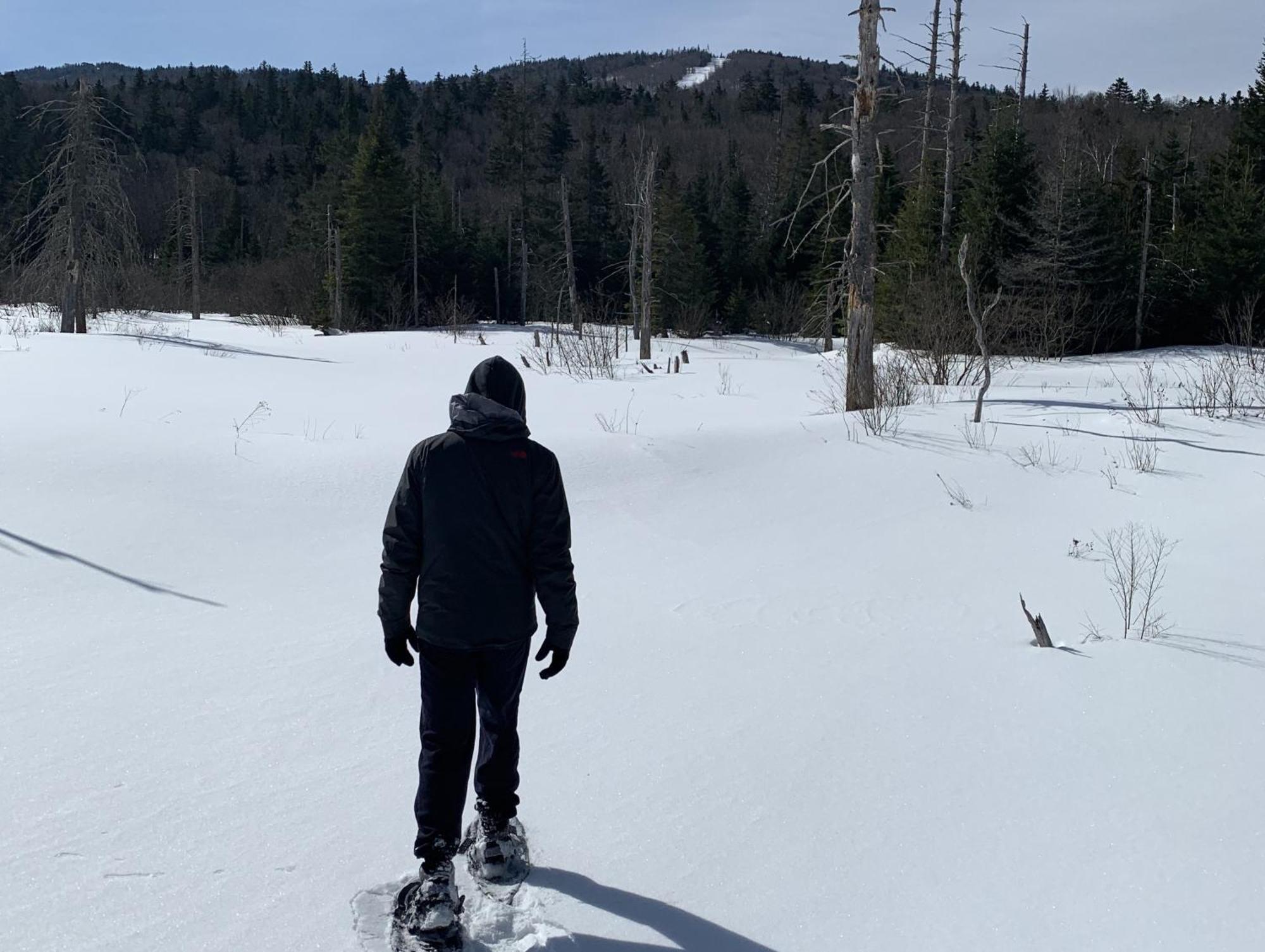 Bretton Woods Ski Carroll Екстер'єр фото